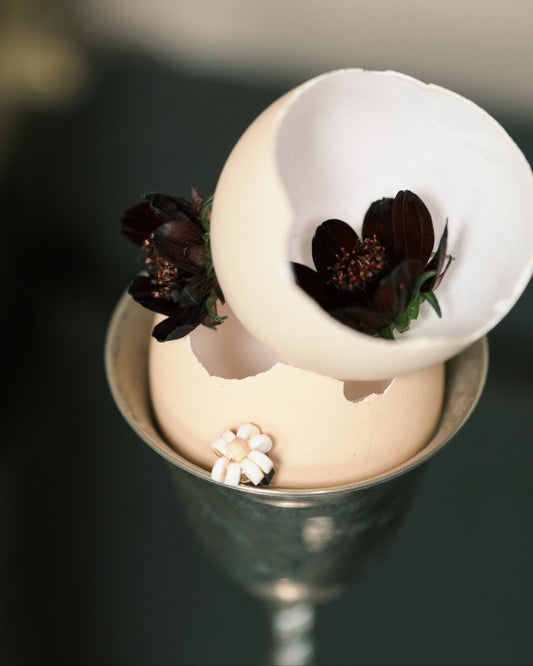 Shell Earrings: Flower